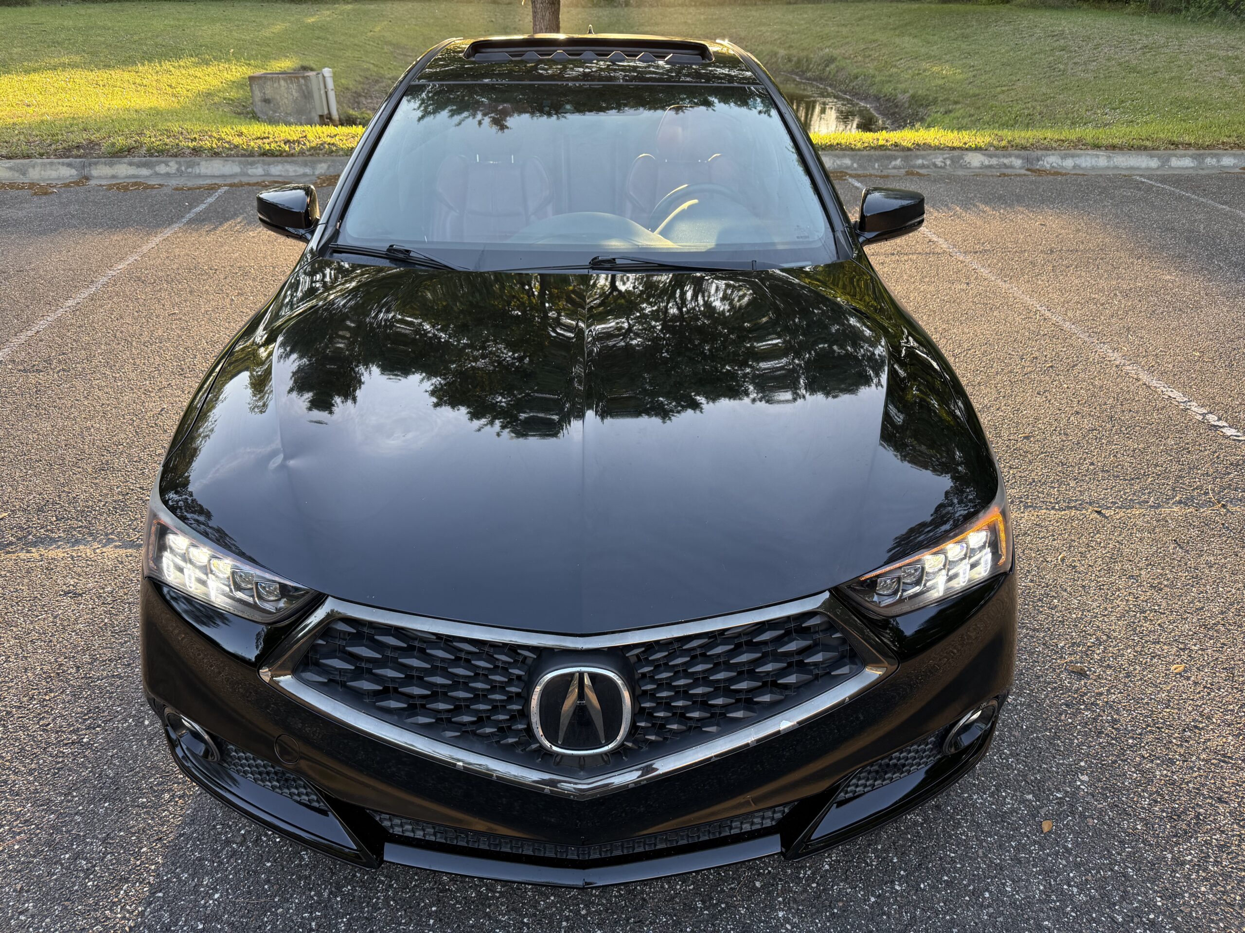 2019 Acura TLX