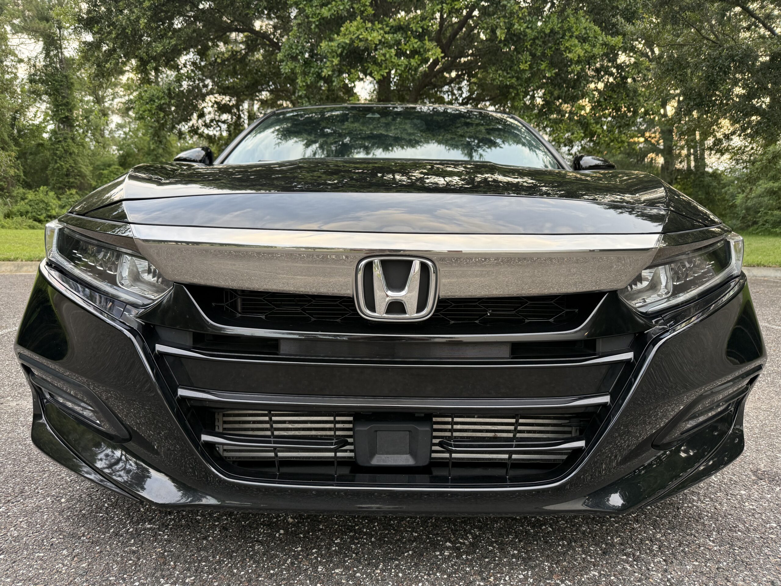 2019 Honda Accord